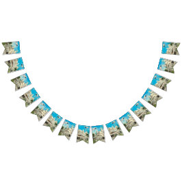 Bandeirinha She's Cosmic