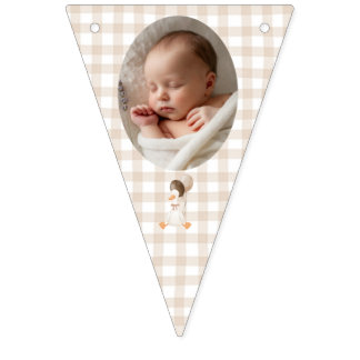 Bandeirinha Silly Goose One Year Photo bunting banner