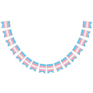 Bandeirinha Sinalizador do Abstrato Transgender Pride Stripe F