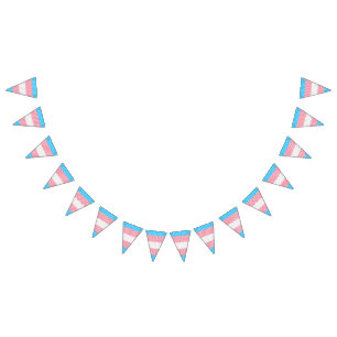 Bandeirinha Sinalizador do Abstrato Transgender Pride Stripe F