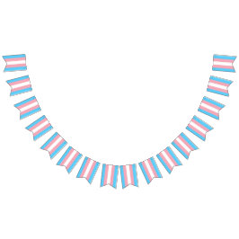 Bandeirinha Sinalizador do Orgulho Transgênero