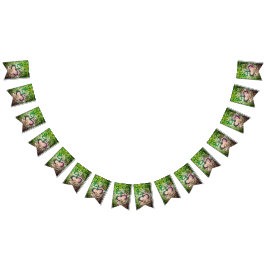 Bandeirinha Sinalizador do Sapo Taino Coqui