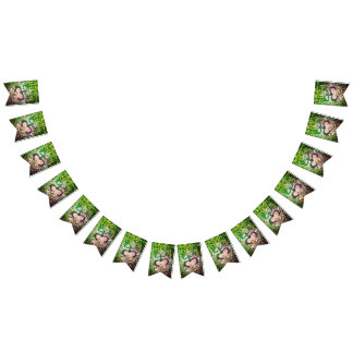 Bandeirinha Sinalizador do Sapo Taino Coqui