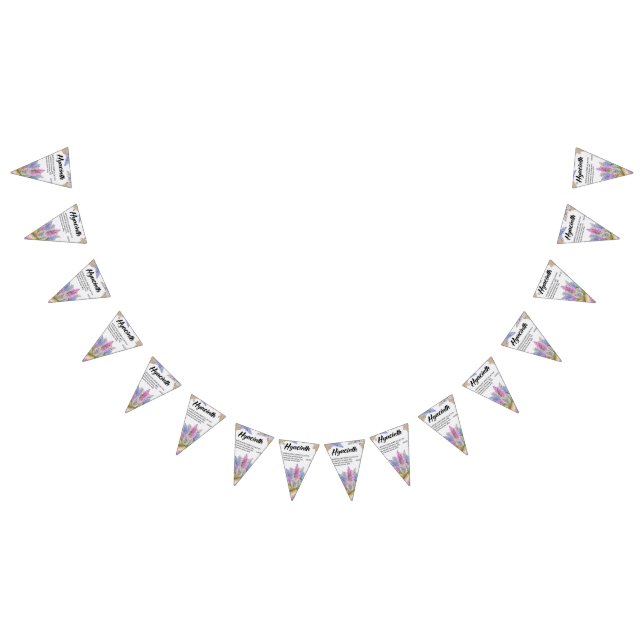 Bandeirinha Sinalizadores de Banner de Bunting de Celebração P (Todos)