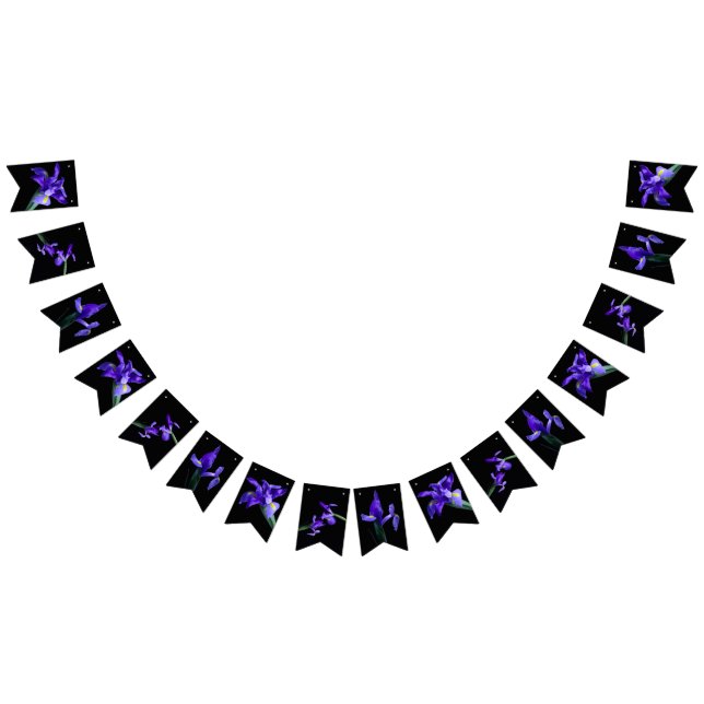 Bandeirinha Sinalizadores de Bunting Iris Roxos (Todos)