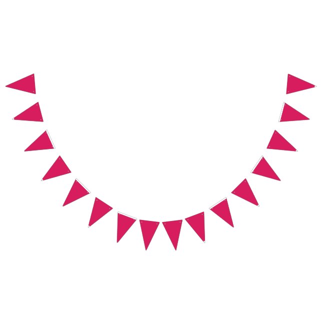 Bandeirinha Sinalizadores de Bunting Personalizados | Decoraçã (Todos)