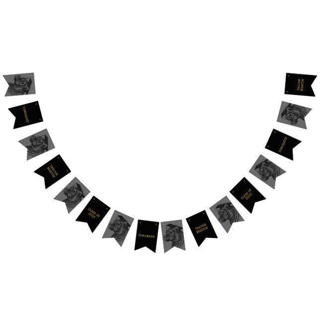 Bandeirinha Sinalizadores de festa de formatura (Todos)