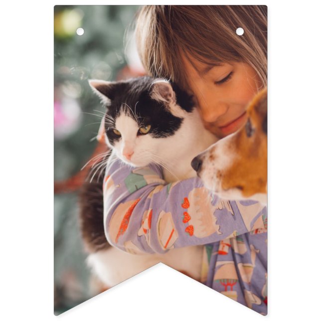 Bandeirinha Sinalizadores Personalizados de Bunting de Fotogra (Oitava Bandeira)