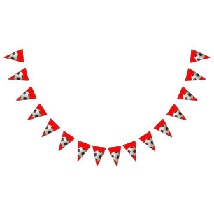 Bandeirinha Soccerball