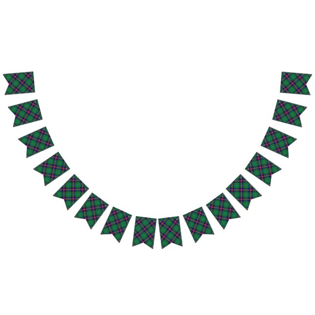 Bandeirinha Tartan escocês dos jovens do clã (Todos)