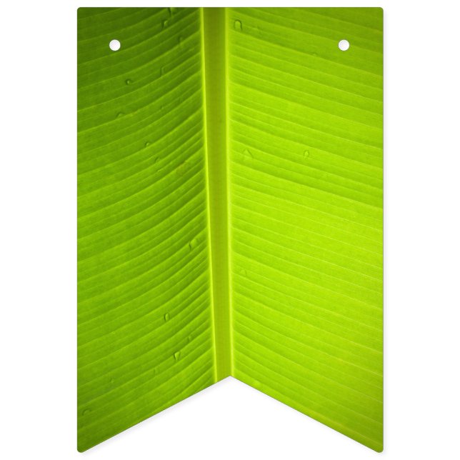 Bandeirinha Tema tropical. Banana Sai. (Primeira Bandeira)