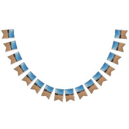 Bandeirinha Torre Blackpool