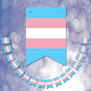 Bandeirinha Transgender Flag & Pride community /gender flag