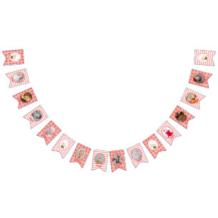 Bandeirinha Um Em Um Monte De Fotografia De Melancia De primei