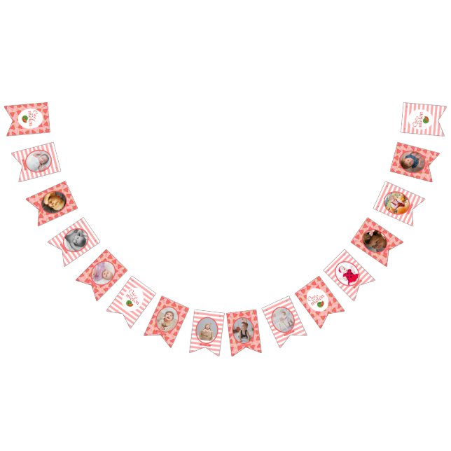 Bandeirinha Uma Em Uma Foto De Melancia De primeiro aniversari (Todos)