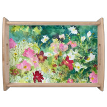 Belo Jardim Flor do Cosmos Selvagens