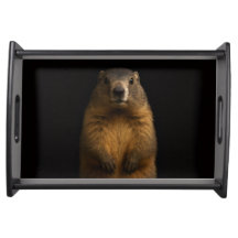Black 4 Luxe serving tray, Fluffy Marmot