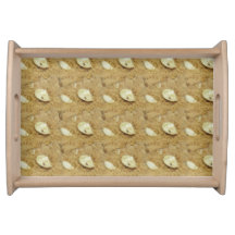 Comida doce indiana de Mohanthal Mithai Sweet