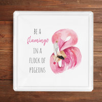 Flamingo, Cor de Água Rosa Moderna, Com Citação