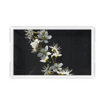 Hawthorn Flowers stacna