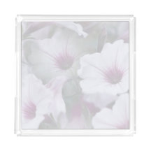 Petunias Brancas E Rosa