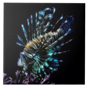 bandeja de natação lionfish