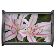 Bandeja de serviço da ventoinha