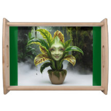 Bandeja de Servidores de Pavimentos de Plantas