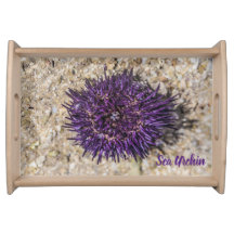 Sea Urchin Ocean Beach Holiday Summer Souvenir