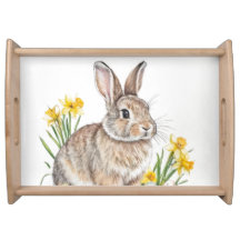 Wild Rabbit and Daffodil Flowers 