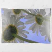 Daisy Day