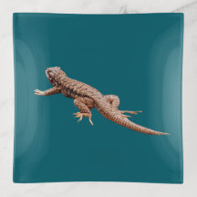 Lagarto