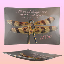 Bandejas Ouro Dragonfly Wild e Cotação Livre