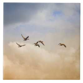 Bando de Aves em Voo