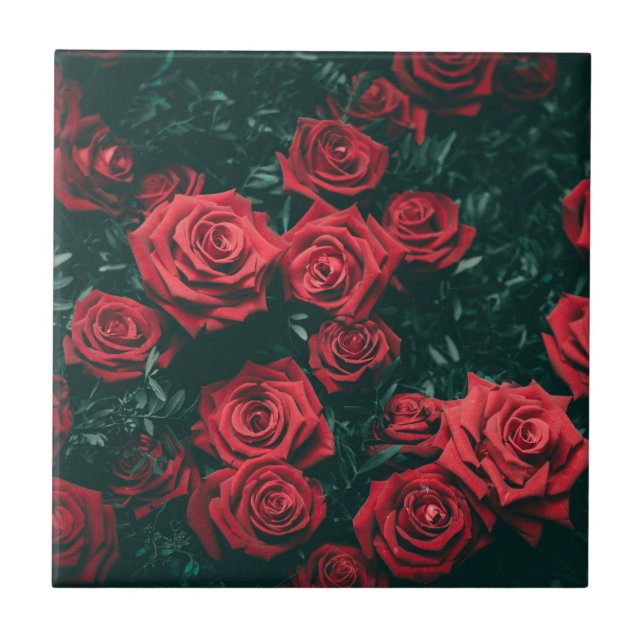 Bando de rosas vermelhas (Frente)