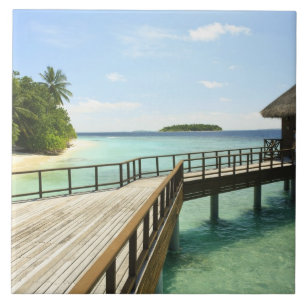 Bandos Island Resort, North Mase Atoll, The 2