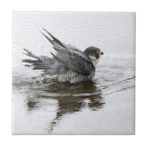 Banhando o azulejo pequeno da beleza