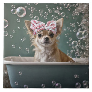 Banho de Espuma de Cachorrinho Chihuahua Fofo