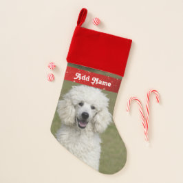 Banho de Natal Personalizado de Poodle Branco