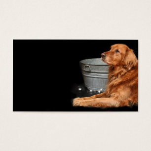 Banho do cão