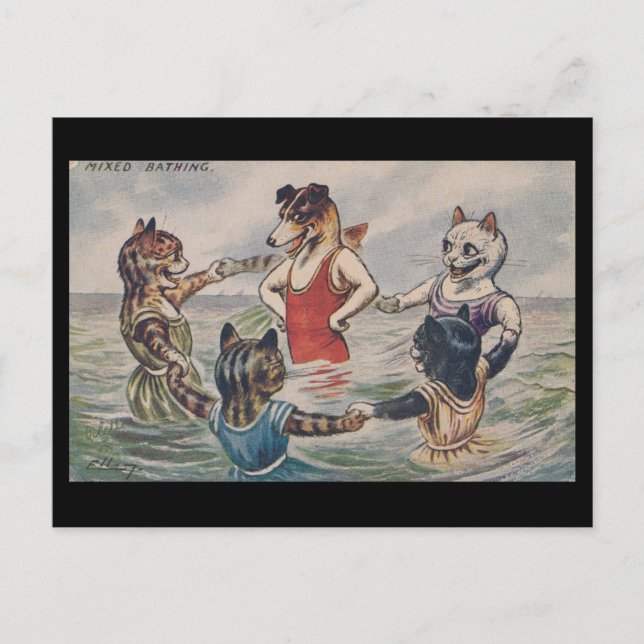 Banho Misto - Cartão Postal de Cachorro e Gatos (Frente)