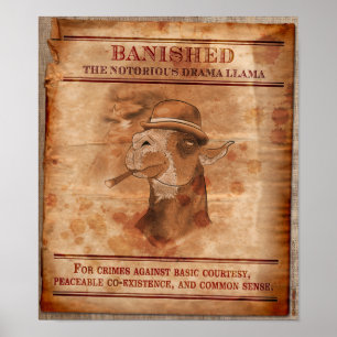 Banish Drama Llamas - Poster de 12" x 14"