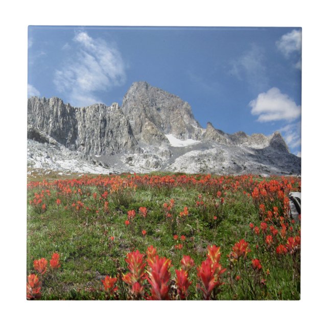 Banner Pico de Flores Selvagens - Ansel Adams Wild (Frente)
