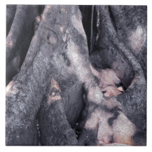 Banyan Tree