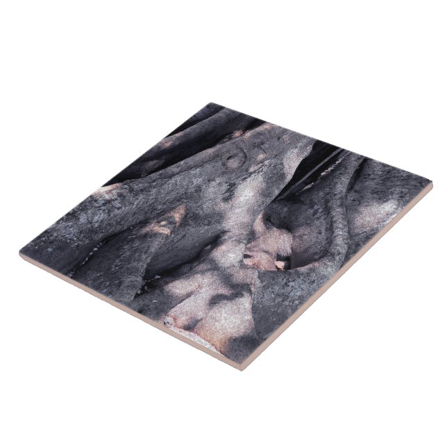 Banyan Tree (Lateral)