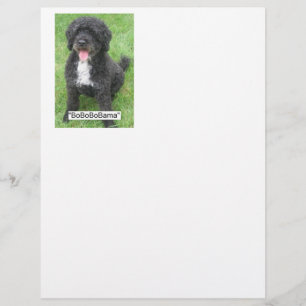 Barack Obama Cão de Água Português