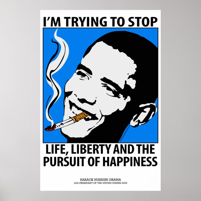 Barack Obama Politics Satire Poster (Frente)