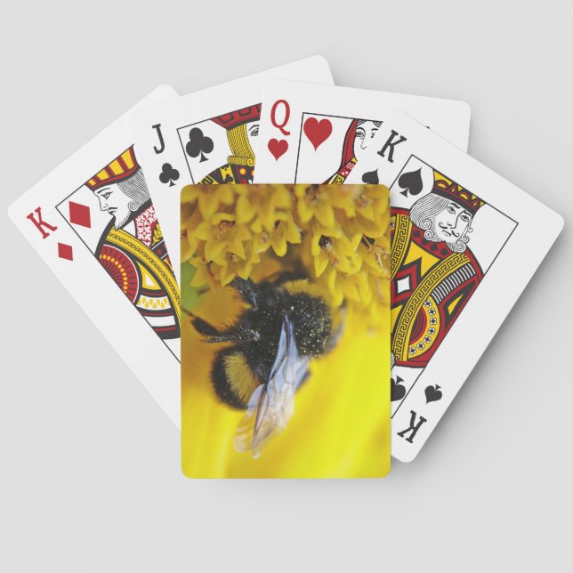 BARALHO 101.JPG (Verso)