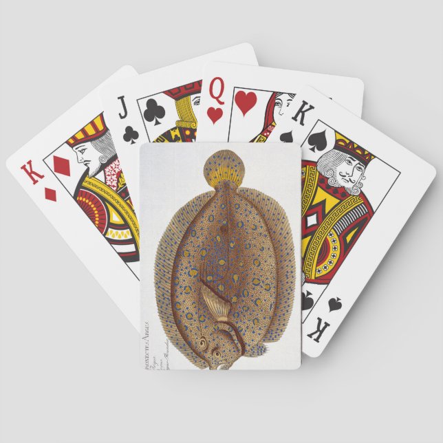 Baralho A placa XLVI da solha de Argus (Pleuronectes (Verso)