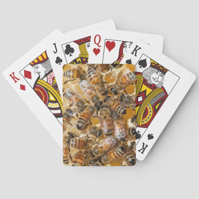 Baralho Abelhas na Fazenda de mel do Arlo (Verso)